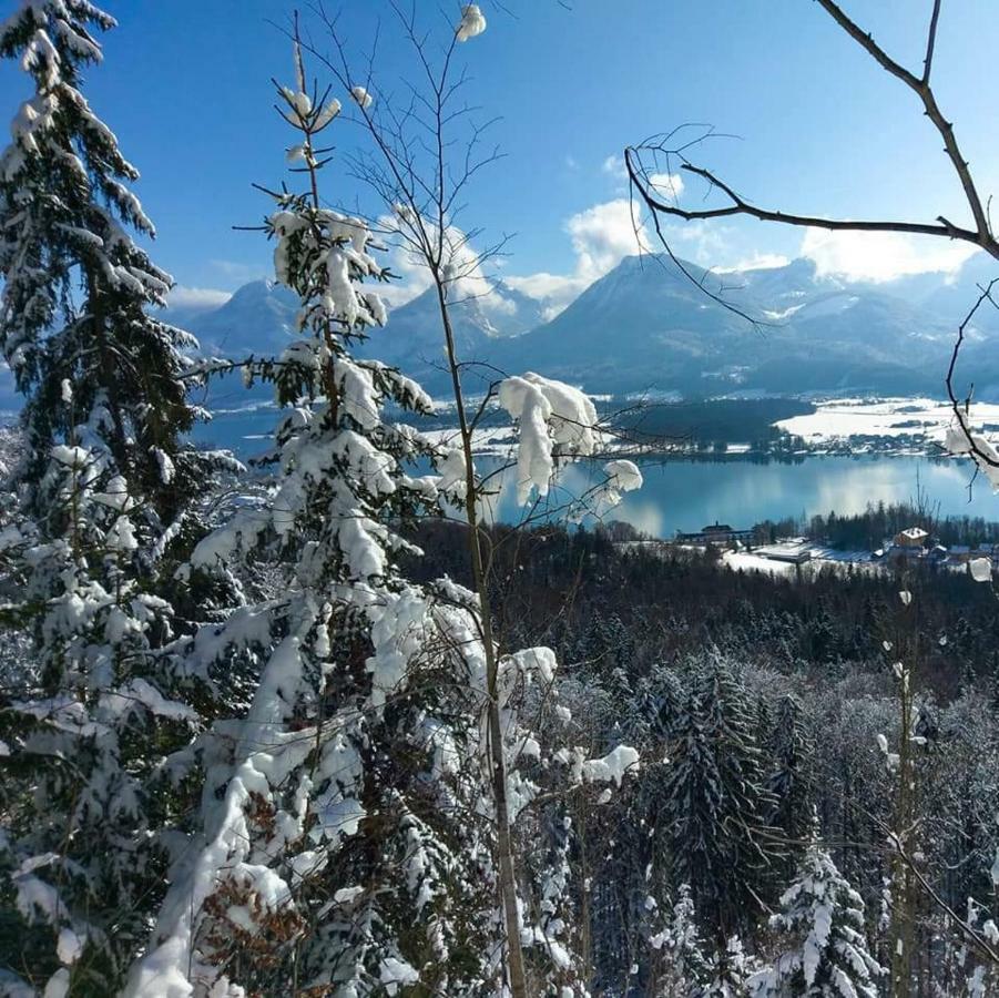 S-Hansn Sankt Wolfgang im Salzkammergut Экстерьер фото